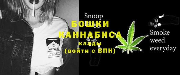 стаф Богородск