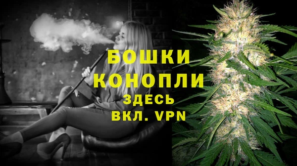 стаф Богородск
