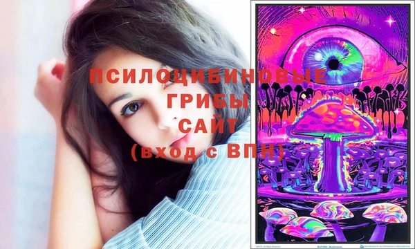 стаф Богородск