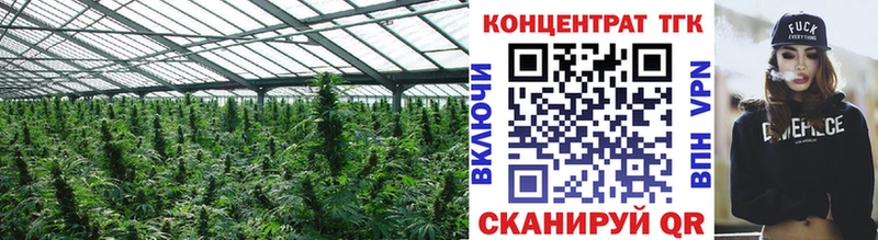 дарнет шоп  Нелидово  Дистиллят ТГК THC oil 