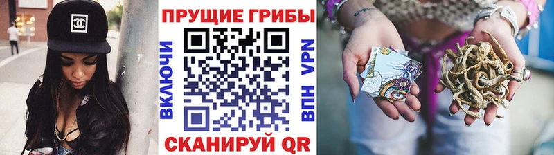 Галлюциногенные грибы Psilocybine cubensis  Нелидово 